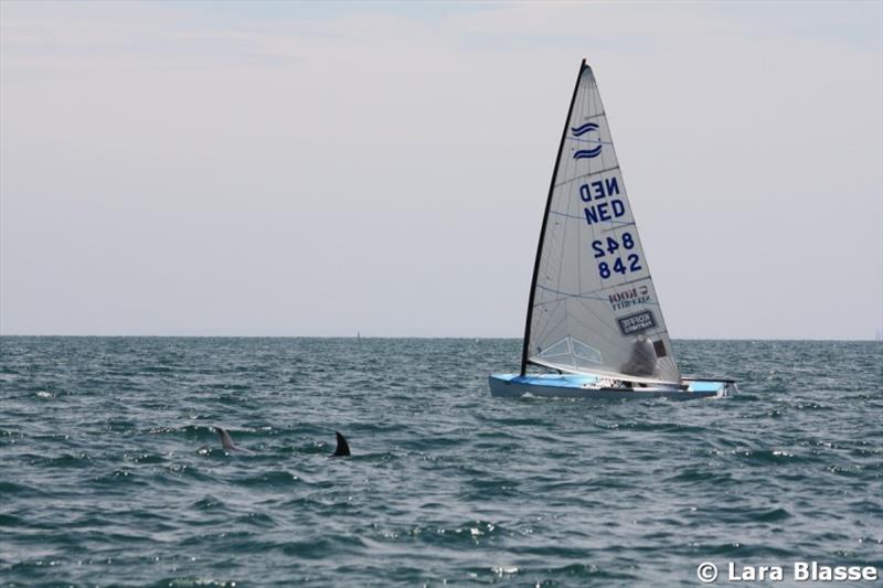 Pieter-Jan Postma is joined on the water by some locals - Ronstan Australian Finn Championship, Day 1 - photo © Lara Blasse