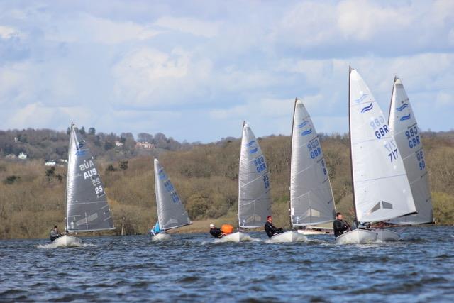Bough Beech Finn Open - photo © Sarah Seddon