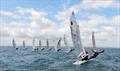 Race 6 startline during the Fireball Ulster Championships © Andy Johnston