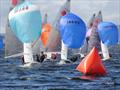 Gul Fireball World Championship at Lough Derg © Oisín Higgins