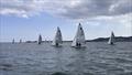 Racing in Seapoint Bay on Sunday in light airs during the Fireball Open at Dun Laoghaire © Thomas Chaix