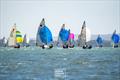 Challenging conditions on the penultimate day - Fireball Worlds at Geelong day 5 © Alex Dare, Down Under Sail