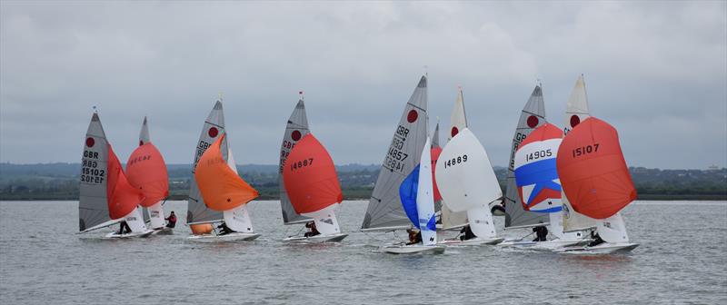 Fireball Gul Golden Dolphin Open at Blackwater photo copyright Kate Stewart taken at Blackwater Sailing Club and featuring the Fireball class