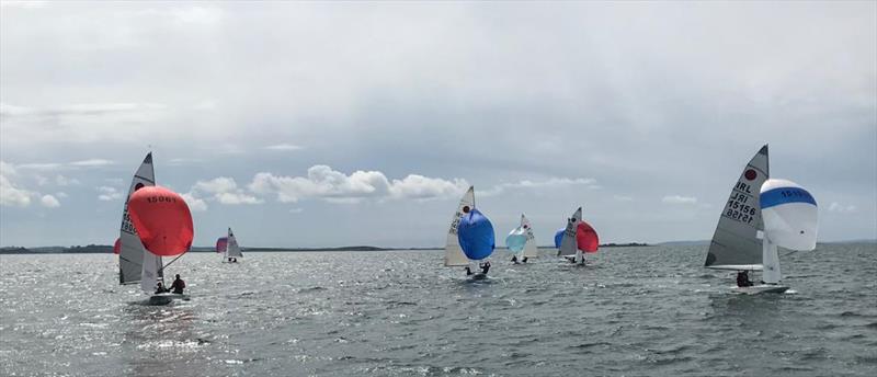 Sunday morning sailing, Butler/Inan (red spinnaker left), Twohig/Porter (blue spinnaker centre) and the Thompsons (white/blue spinnaker right) during the Fireball Ulsters at Newtownards - photo © Andrew Corkhill