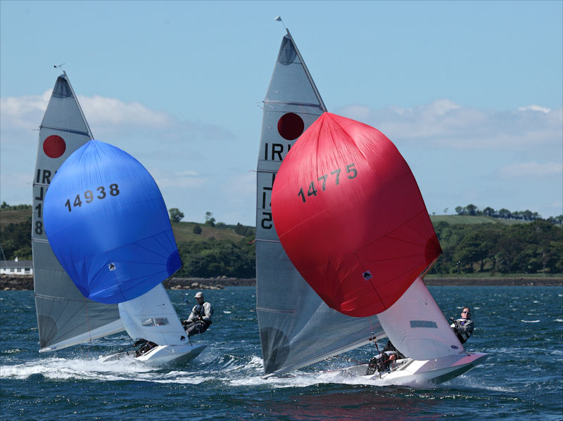 Fireball Ulsters on Strangford Lough photo copyright Vivienne Beck / Vab Photography taken at East Down Yacht Club and featuring the Fireball class