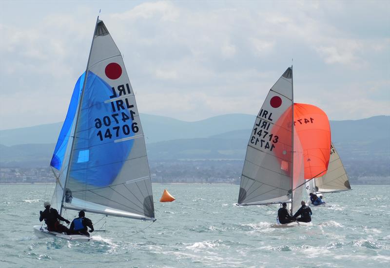 Race 5 downwind leg during the Fireball Ulster Championships photo copyright Andy Johnston taken at Sutton Dinghy Club and featuring the Fireball class