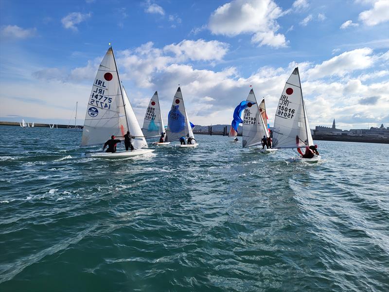 Viking Marine DMYC Frostbite Series 2 day 10  photo copyright Ian Cutliffe taken at Dun Laoghaire Motor Yacht Club and featuring the Fireball class