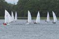 Firefly Craftinsure Vines series at South Staffs © Martin Rubrey