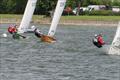 Firefly Craftinsure Vines series at South Staffs © Martin Rubrey