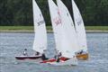 Firefly Craftinsure Vines series at South Staffs © Martin Rubrey