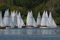Firefly Craftinsure Vines Series at Dell Quay &copy; John Rogerson