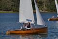 Firefly Craftinsure Vines Series at Dell Quay &copy; John Rogerson