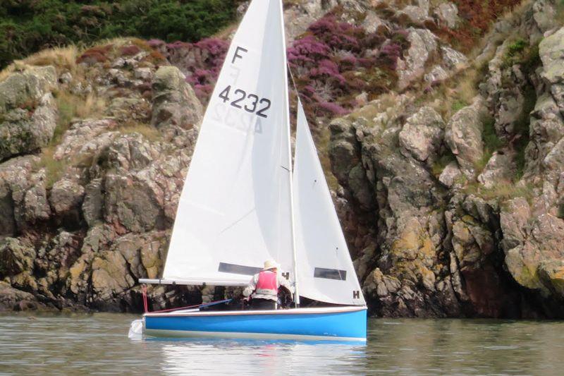 How close to the Rough Island rocks do you dare go - Kippford RNLI Regatta Day at Solway YC photo copyright John Sproat taken at Solway Yacht Club and featuring the Firefly class