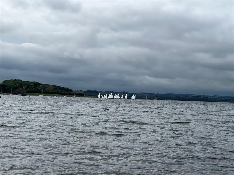 Firefly Inlands 2023 at Rutland photo copyright Ted Ashworth taken at Rutland Sailing Club and featuring the Firefly class