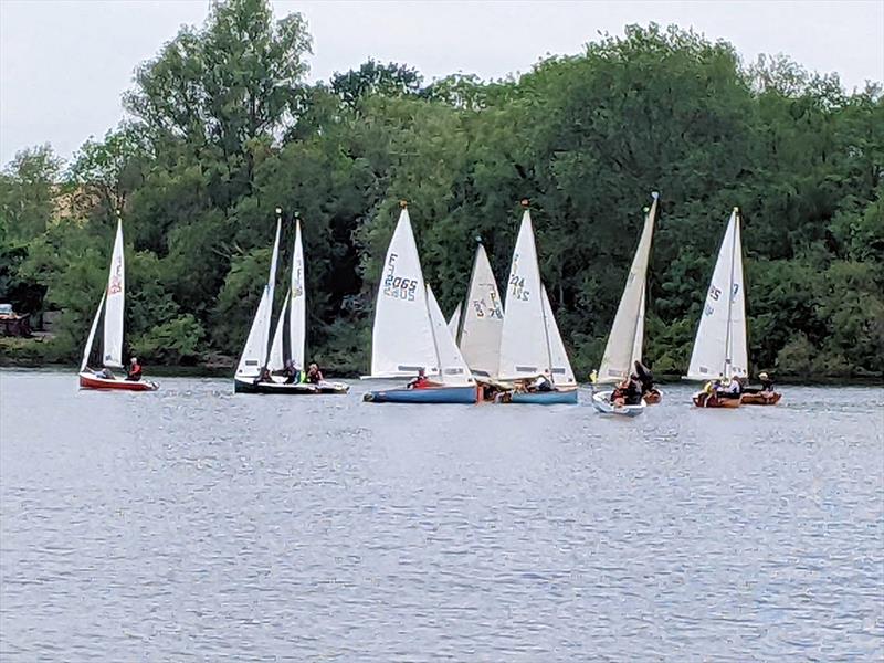 'Ricky' Firefly Open for the Troy Trophy - photo © Jono Pank