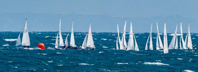 Firefly Nationals 2025 at Lyme Regis - photo © David Beer