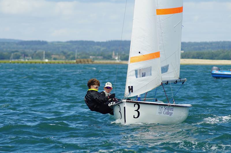 Firefly Itchenor Burgee 2026 photo copyright Frances Davison taken at Itchenor Sailing Club and featuring the Firefly class