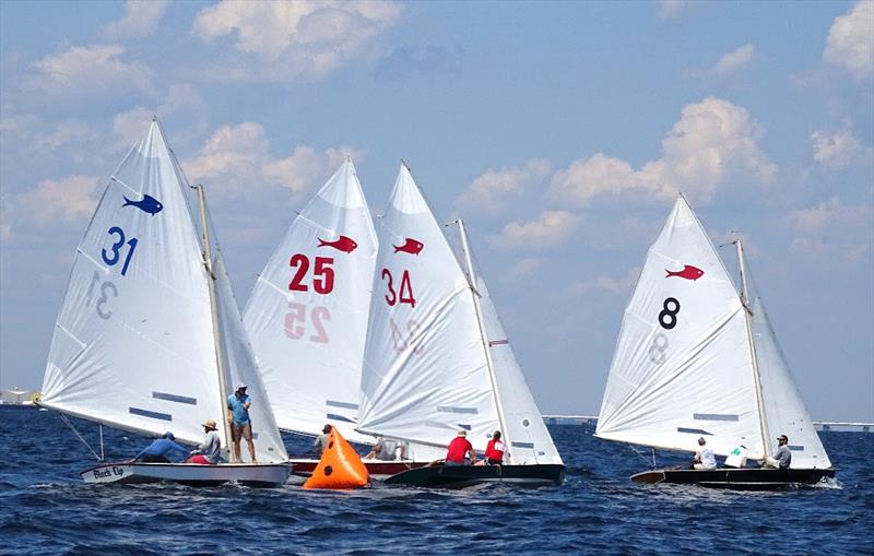 Fish flew this weekend on Pensacola Bay… Fish Class sailboats that is - 2021 Fish Class World Championship Regatta - photo © Talbot Wilson