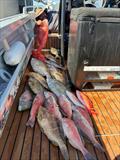 © Fisho's Tackle World