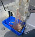 © Fisho's Tackle World
