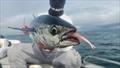 © Fisho's Tackle World