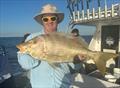 © Fisho's Tackle World