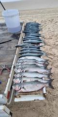 © Fisho's Tackle World Hervey Bay