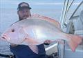 © Fisho's Tackle World Hervey Bay