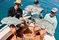 © Fisho's Tackle World Hervey Bay