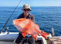 © Fisho's Tackle World Hervey Bay