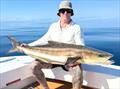 © Fisho's Tackle World Hervey Bay