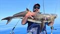 © Fisho's Tackle World Hervey Bay