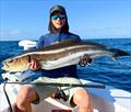 © Fisho's Tackle World Hervey Bay