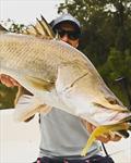 © Fisho's Tackle World Hervey Bay