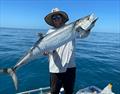© Fisho's Tackle World Hervey Bay