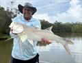 &copy; Fisho's Tackle World Hervey Bay