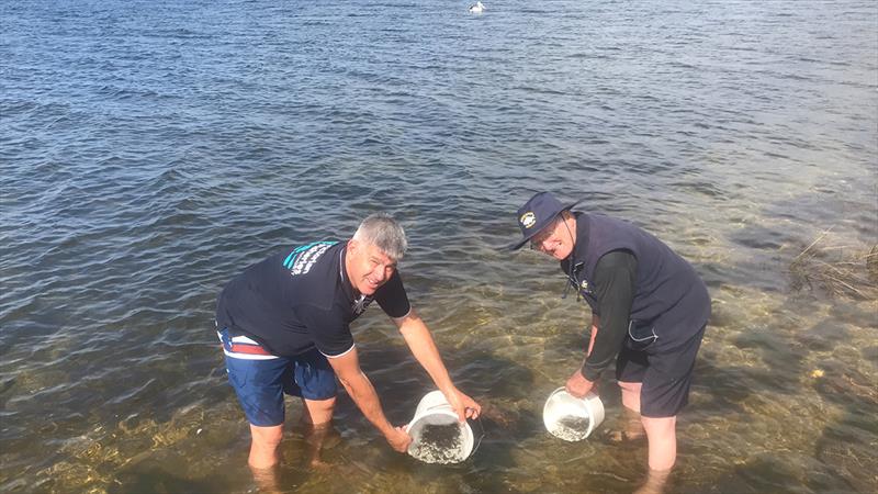 Two men with bucket in river: Craig Ingram and Don Cunningham at Bemm River  - photo © Sarah Hetherington