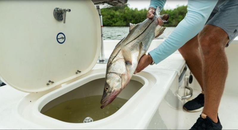 249 Bay photo copyright NauticStar taken at  and featuring the Fishing boat class