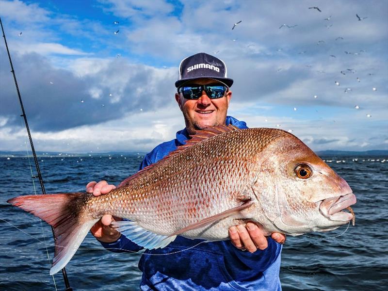 Offshore adventures - photo © Mercury Marine