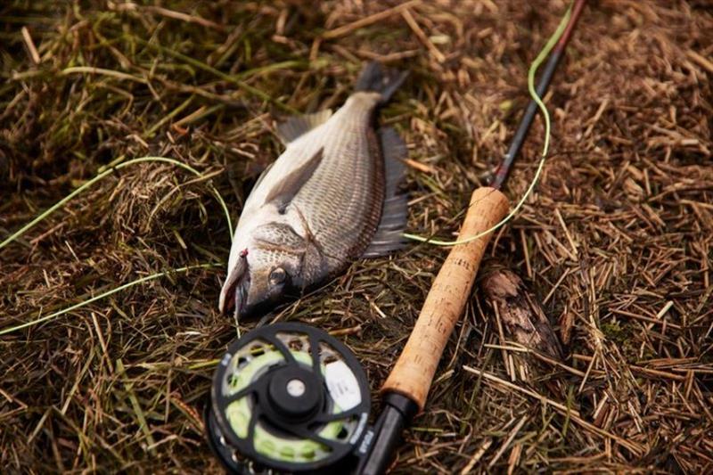 Sam Shelley snuck out between showers yesterday and snagged a few small bream on fly. - photo © Spot On Fishing Hobart