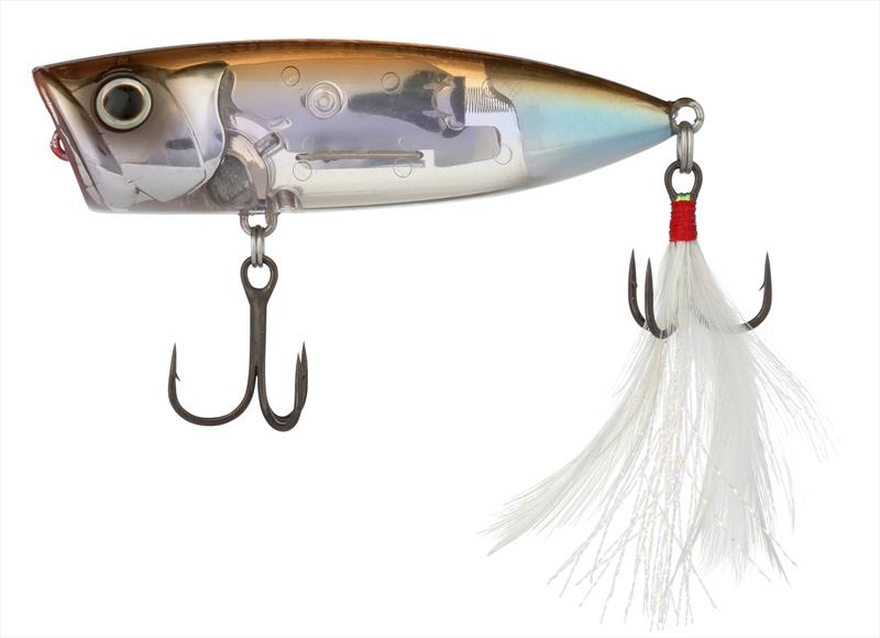World Pop 69F FB - photo © Shimano