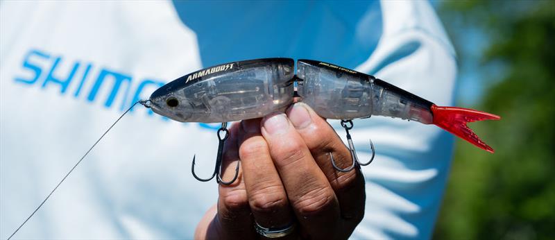 Armajoint 190SF - photo © Shimano