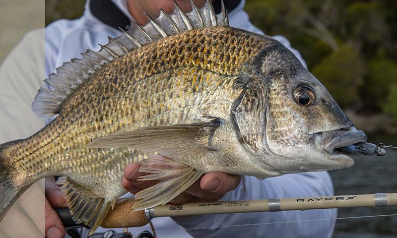 Abu Garcia® Rayrex II - photo © Abu Garcia