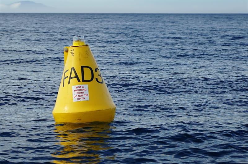 East Coast FADs deployed for summer - photo © DPIPWE Fishing
