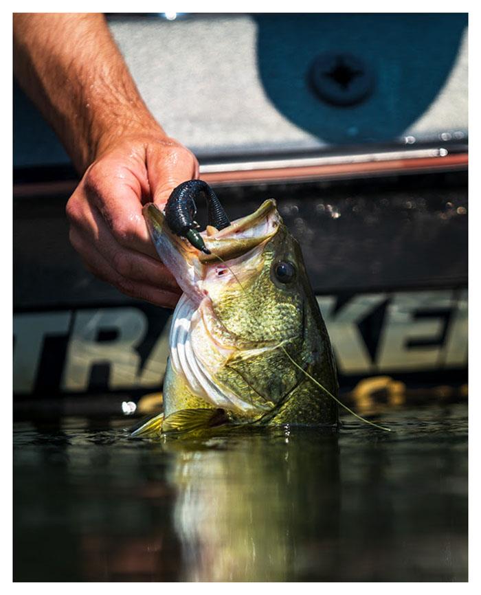 Tatula TWS reel and rod combos - photo © Daiwa