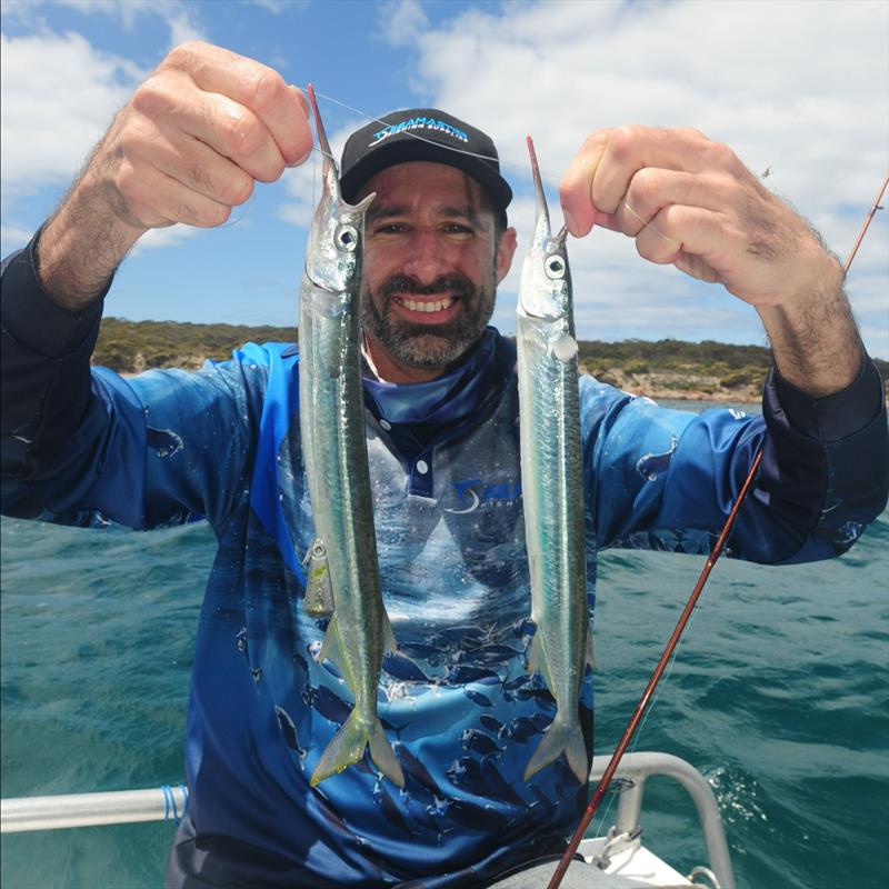 Jamie Crawford from Seamaster Port Lincoln targets southern garfish photo copyright Seamaster taken at  and featuring the Fishing boat class