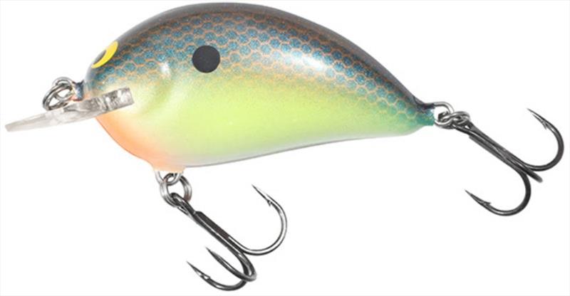 New Bagley Shallow Sunny B (Blue Chartreuse Shad) - photo © Bagley Bait