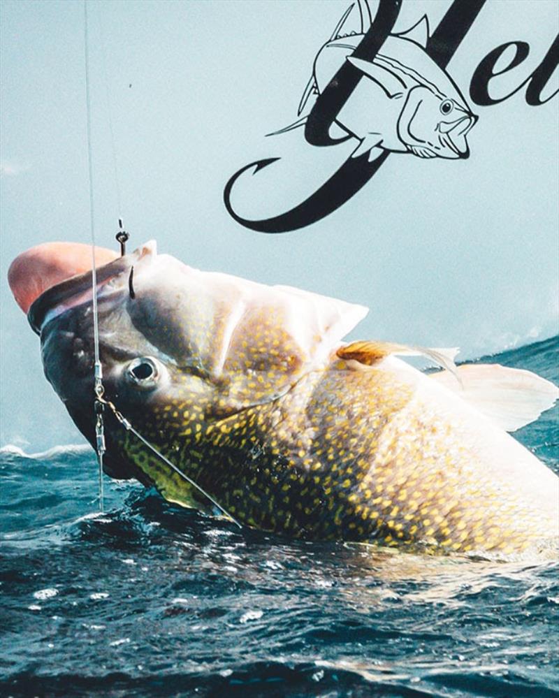 Tanacom 800 in action - photo © Daiwa