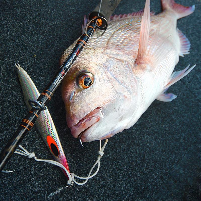 FCL Labo SFS - photo © Fish Head