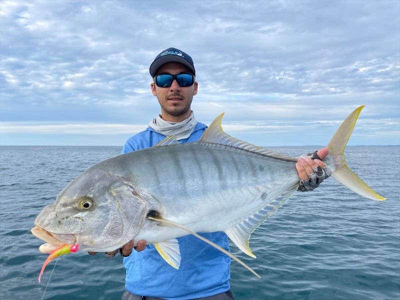 Golden trevally have been in great numbers over many of our inshore wrecks, structures and reefs. Staff member Dane fooled this one whilst in search of a Snapper - photo © Fisho's Tackle World